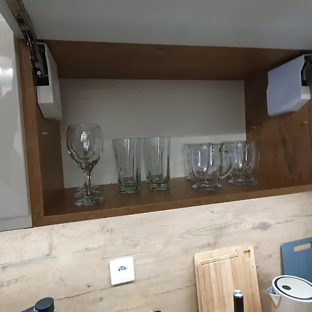 Apartman Elegant Free Parking Leszno