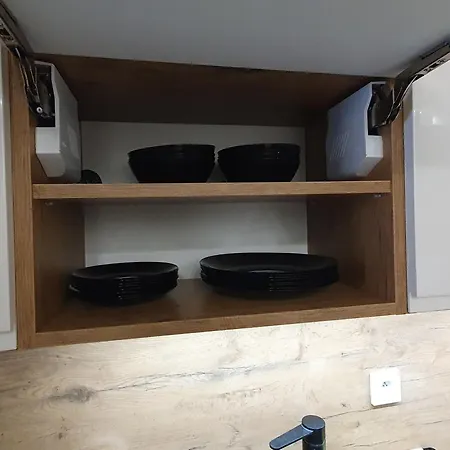 Apartman Elegant Free Parking Leszno