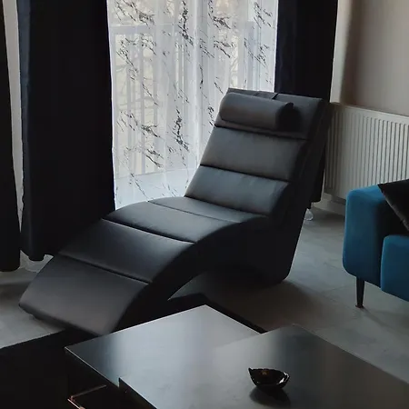 Elegant Free Parking Apartman Leszno