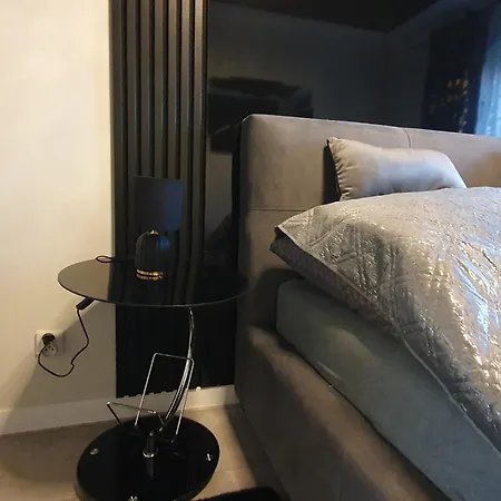 Apartman Elegant Free Parking Leszno