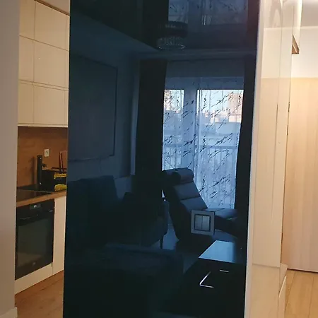 Elegant Free Parking * Leszno