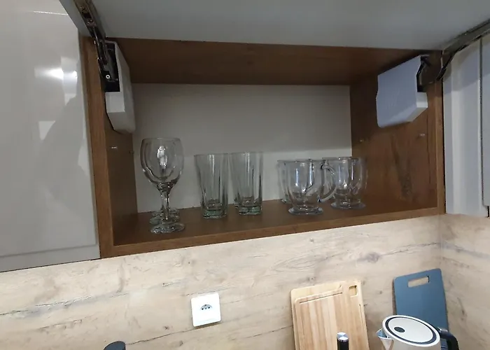 Apartman Elegant Free Parking Leszno