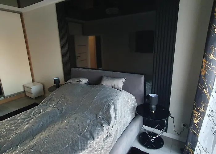 Apartman Elegant Free Parking Leszno