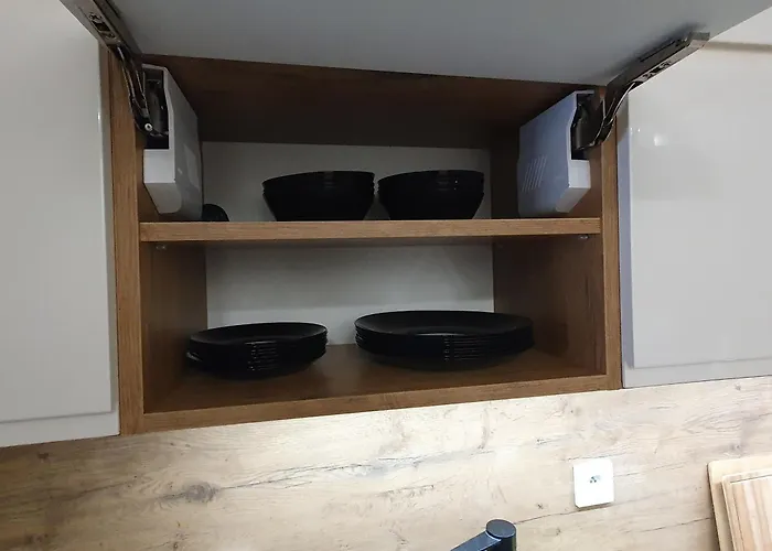 Apartman Elegant Free Parking Leszno