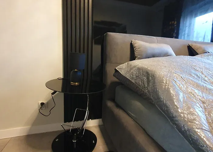 Apartman Elegant Free Parking Leszno